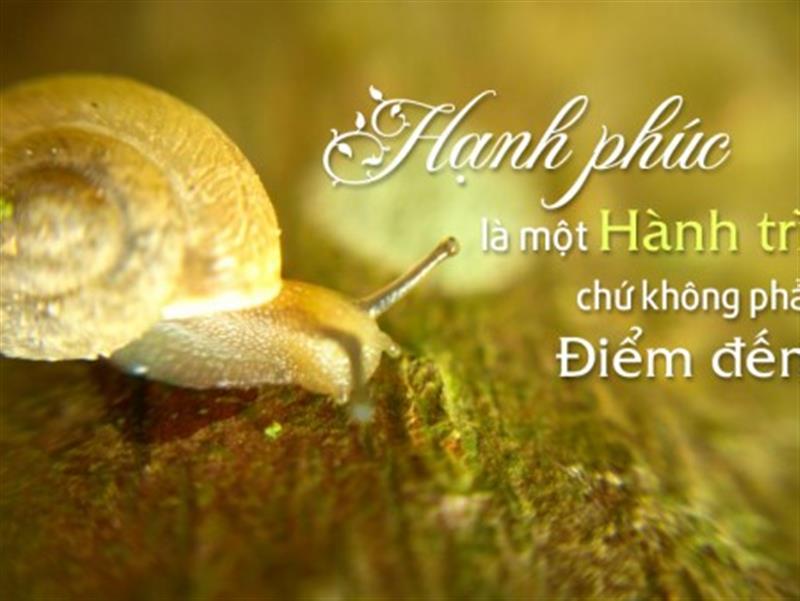 Hạnh phúc gia đình có thể không phải là.....